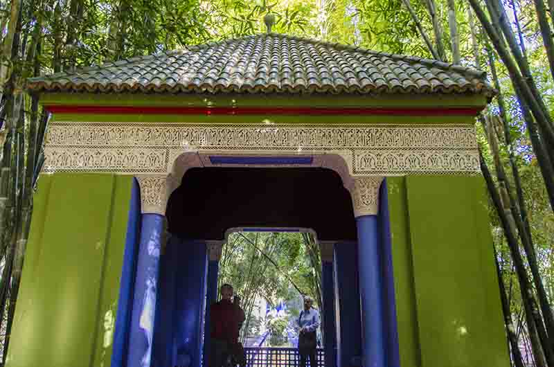 206 - Marruecos - Marrakech - jardin Majorelle